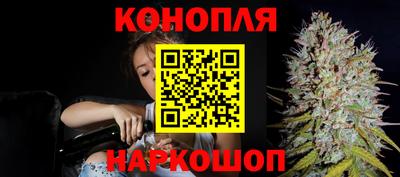 мяу мяу мука Кингисепп