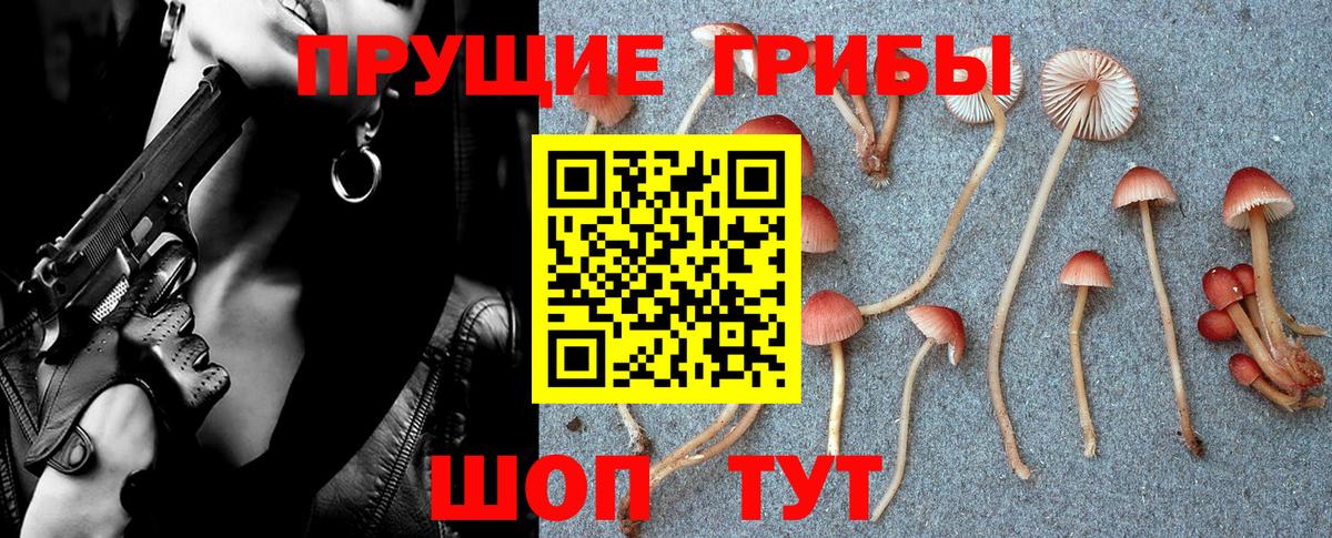Кыштым  Галлюциногенные грибы Cubensis  Вход с VPN 